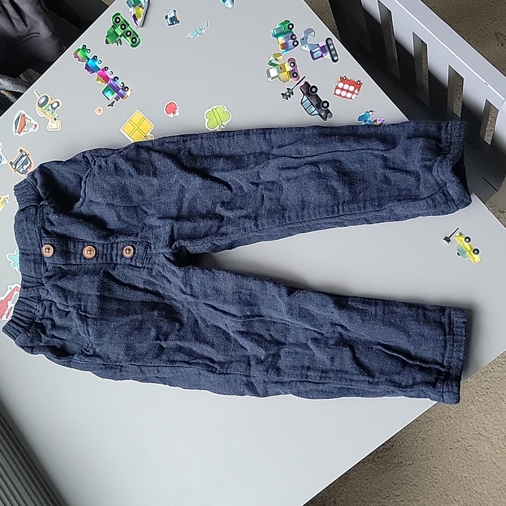 Lined pants